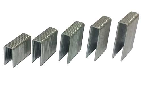 15.5 Gauge Secret Floor Staples
